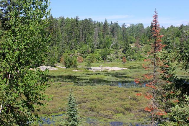 Voyageurs National Park